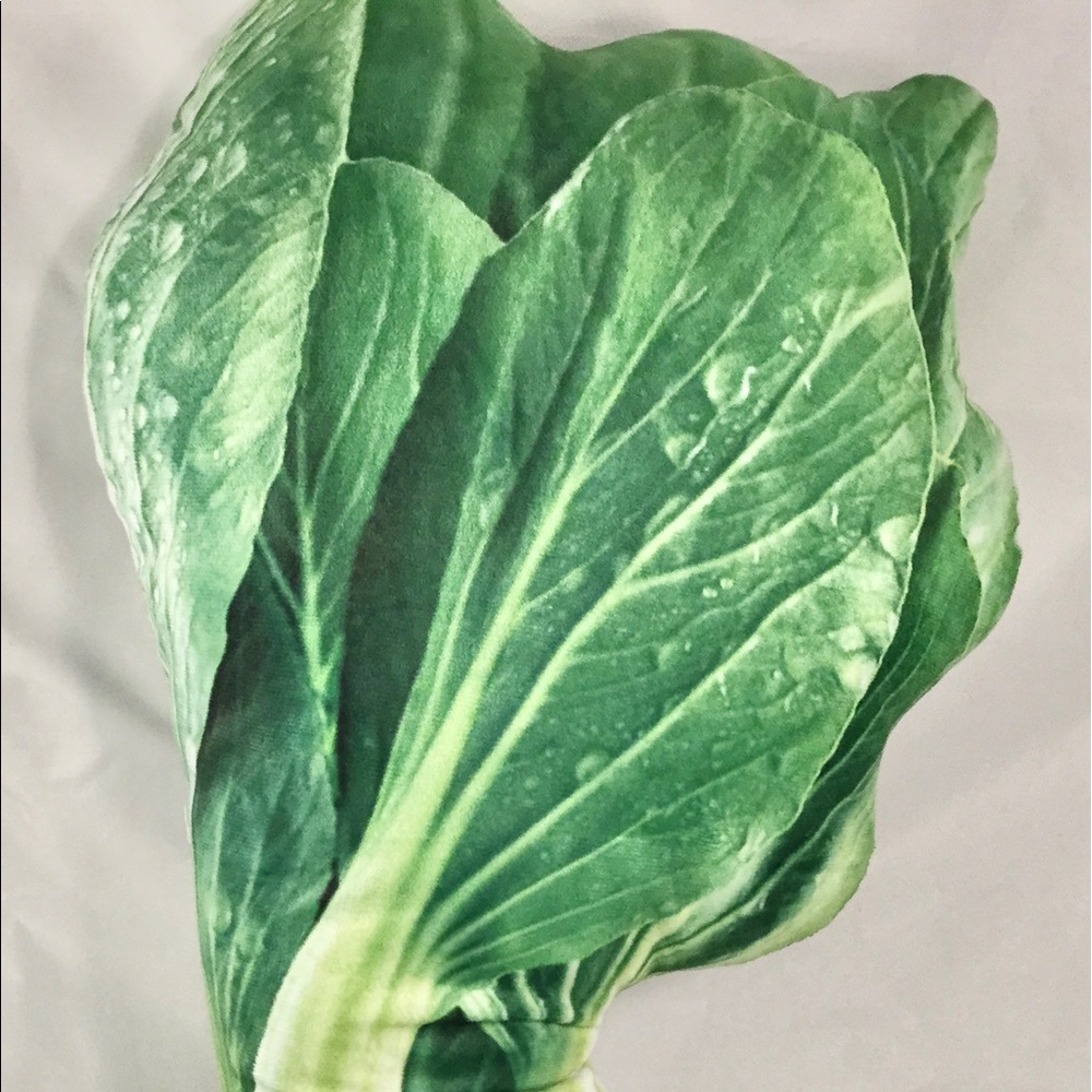 Spinach, Sminach! Kids’ Decorative Pillow